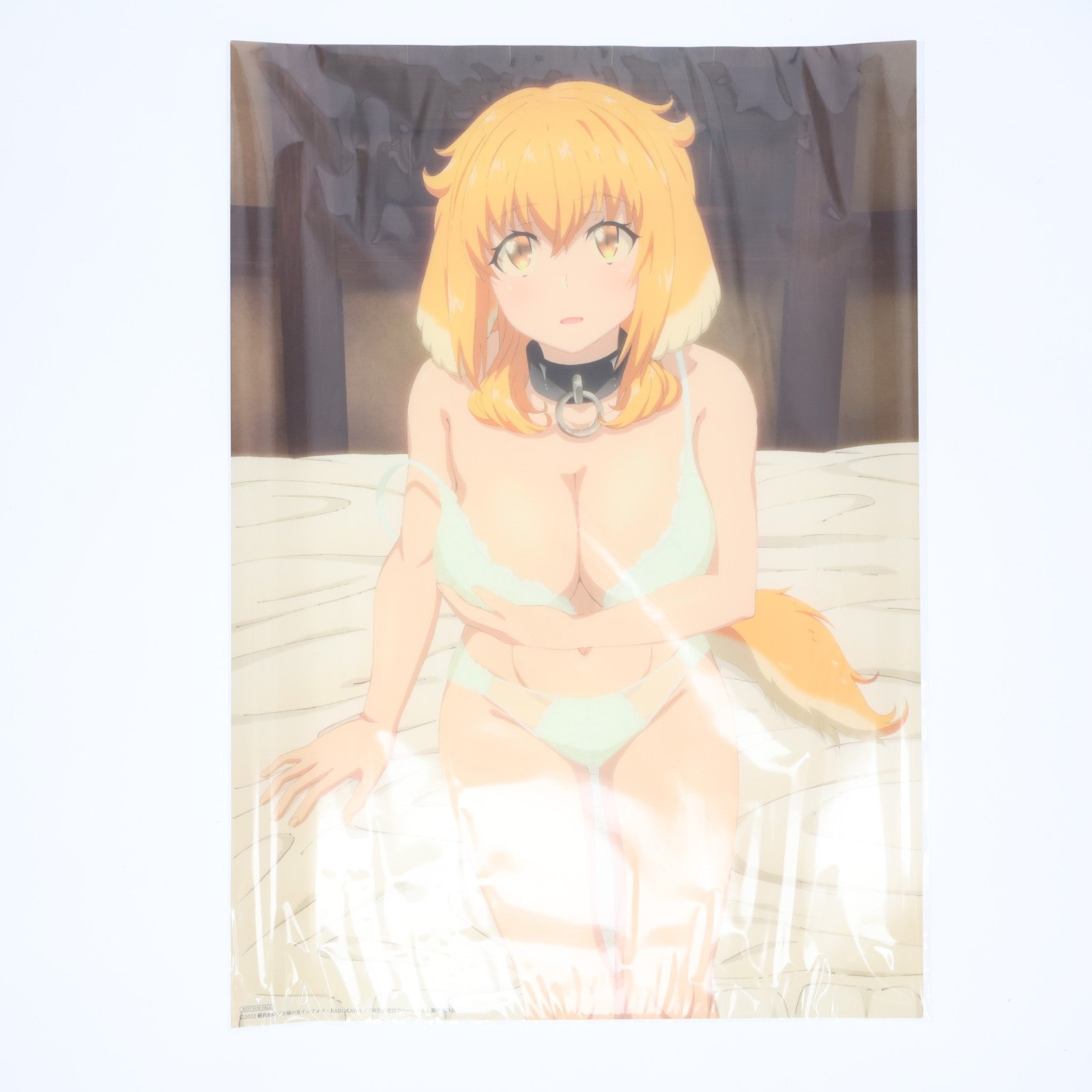 【中古即納】[GDS] (特典単品) アニメ描き下ろしロクサーヌとの秘め事ポスター 異世界迷宮でハーレムを Blu-ray/DVD BOX 上巻 早期予約特典 メディアファクトリー(20221125)