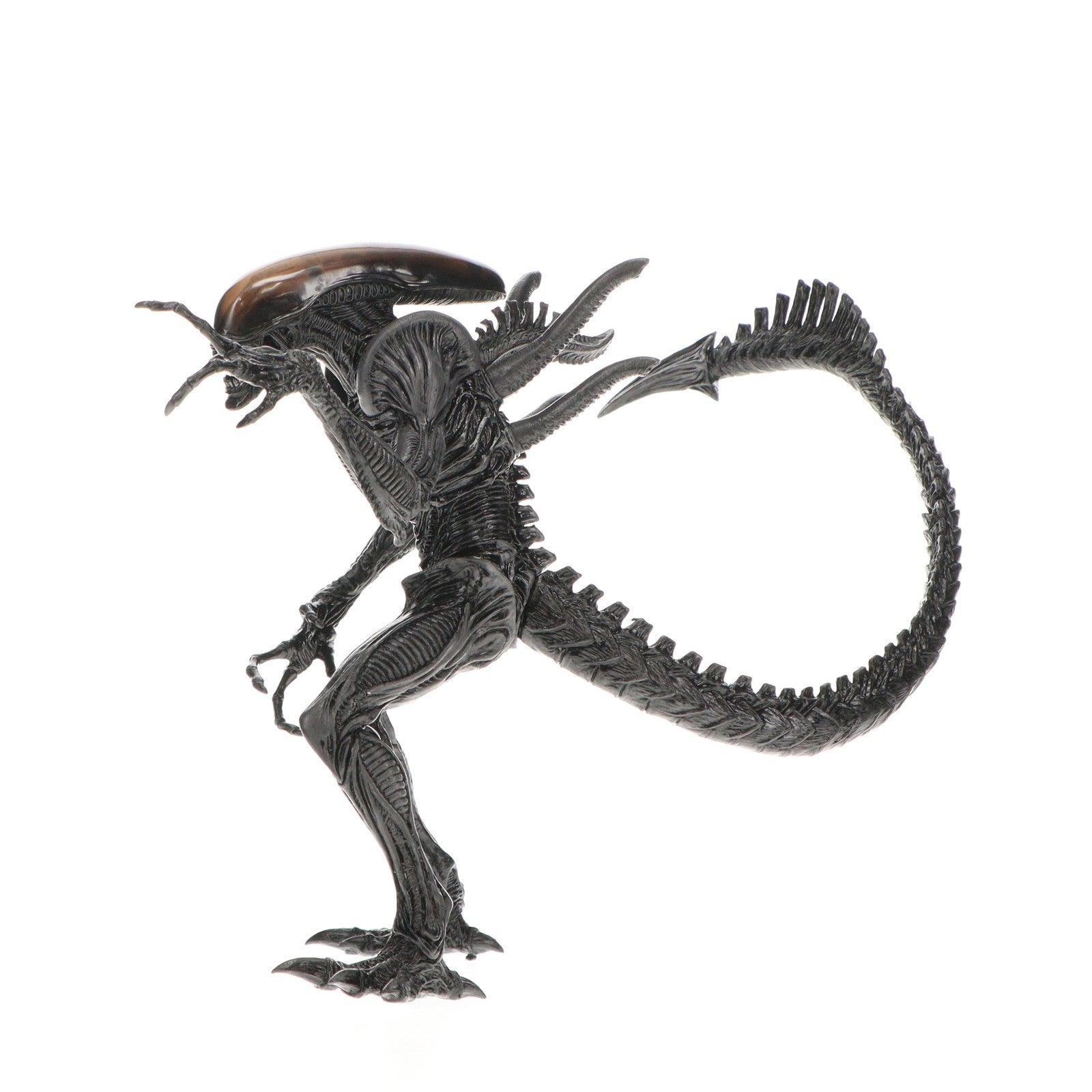 【中古即納】[FIG] エイリアン SSSプレミアムBIGフィギュア プライズ(AMU-PRZ9762/AMU-PRZ12303/AMU-PRZ13512) フリュー(20180930)