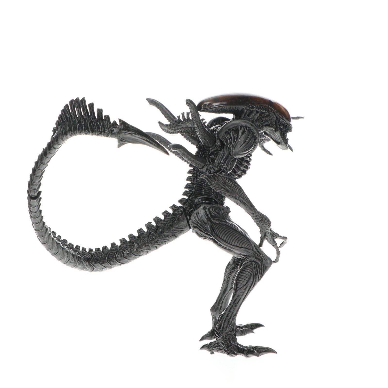 【中古即納】[FIG] エイリアン SSSプレミアムBIGフィギュア プライズ(AMU-PRZ9762/AMU-PRZ12303/AMU-PRZ13512) フリュー(20180930)