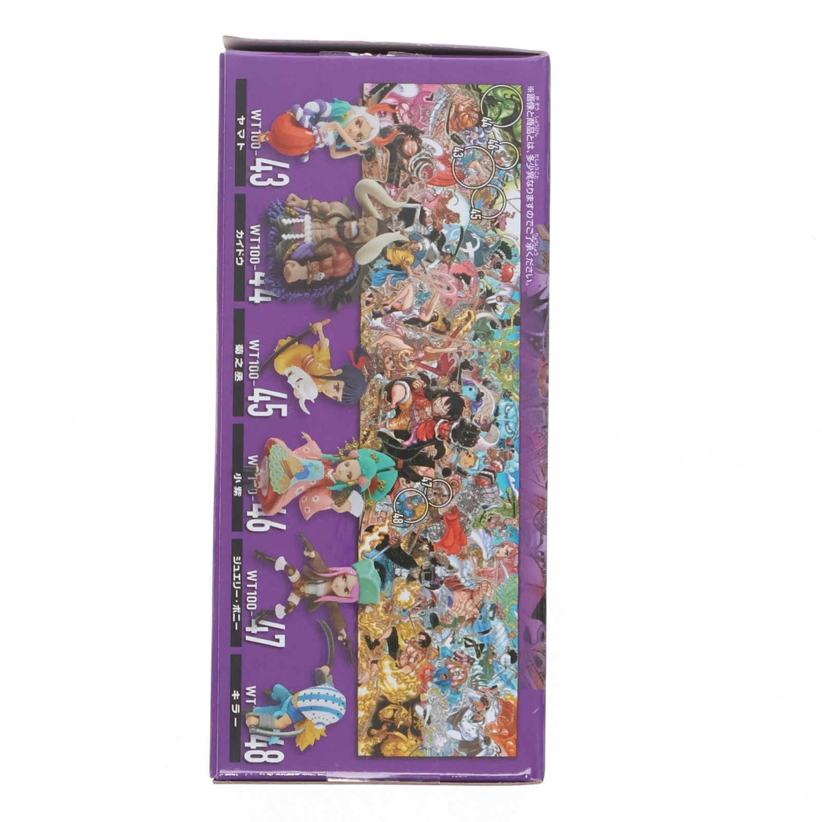 【中古即納】[FIG] 菊之丞(お菊) ワンピース ワールドコレクタブルフィギュア-WT100記念 尾田栄一郎描き下ろし 大海賊百景8- ONE PIECE プライズ(2583117) バンプレスト(20220620)