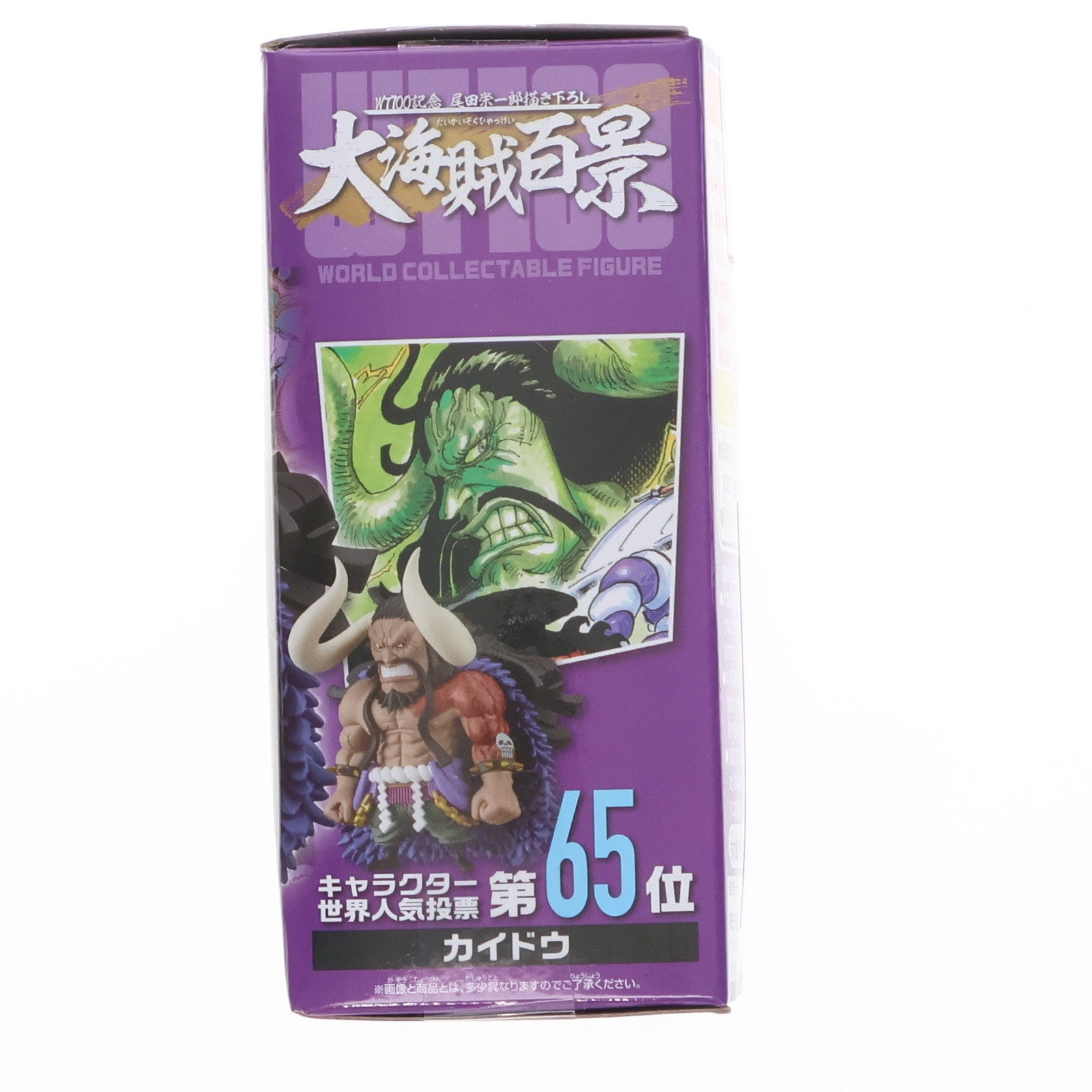 【中古即納】[FIG] カイドウ ワンピース ワールドコレクタブルフィギュア-WT100記念 尾田栄一郎描き下ろし 大海賊百景8- ONE PIECE プライズ(2583117) バンプレスト(20220620)