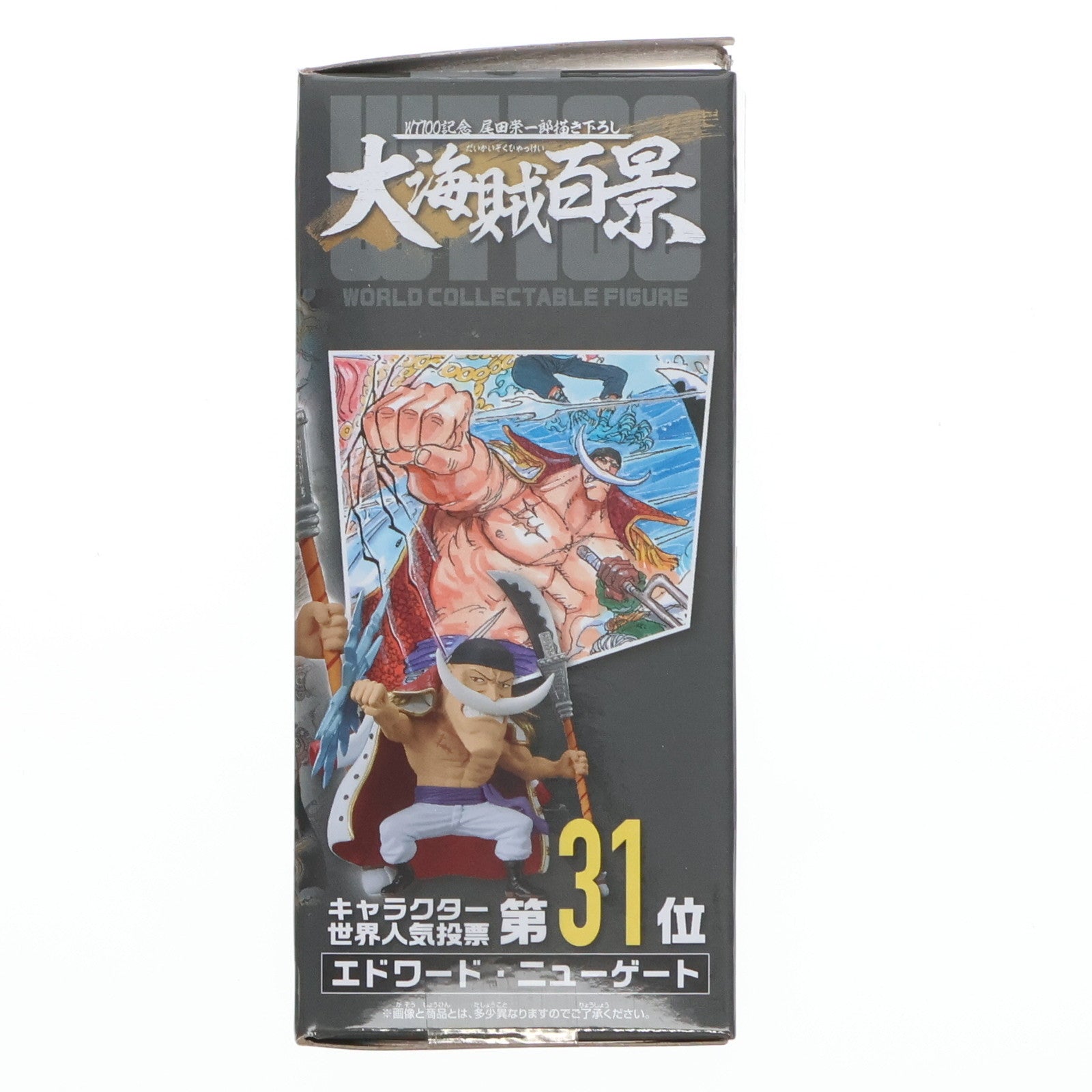【中古即納】[FIG] エドワード・ニューゲート(白ひげ) ワンピース ワールドコレクタブルフィギュア-WT100記念 尾田栄一郎描き下ろし 大海賊百景10- ONE PIECE プライズ(2583119) バンプレスト(20220831)