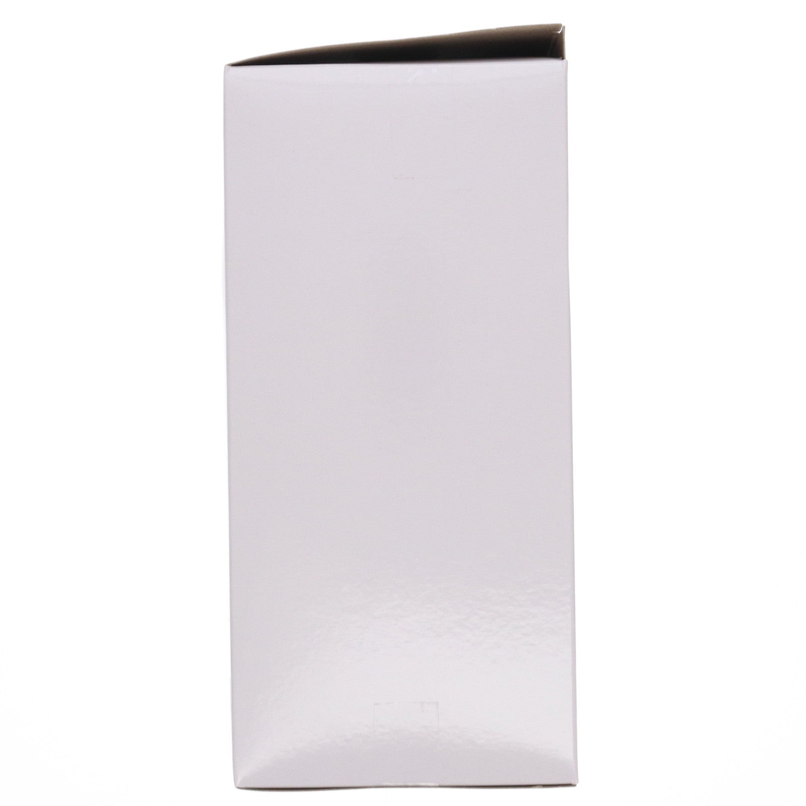 【中古即納】[FIG] タイトーオンラインクレーン限定 フリーレン 葬送のフリーレン Desktop Cute フィギュア フリーレン～トランクver.～ プライズ タイトー(20250920)