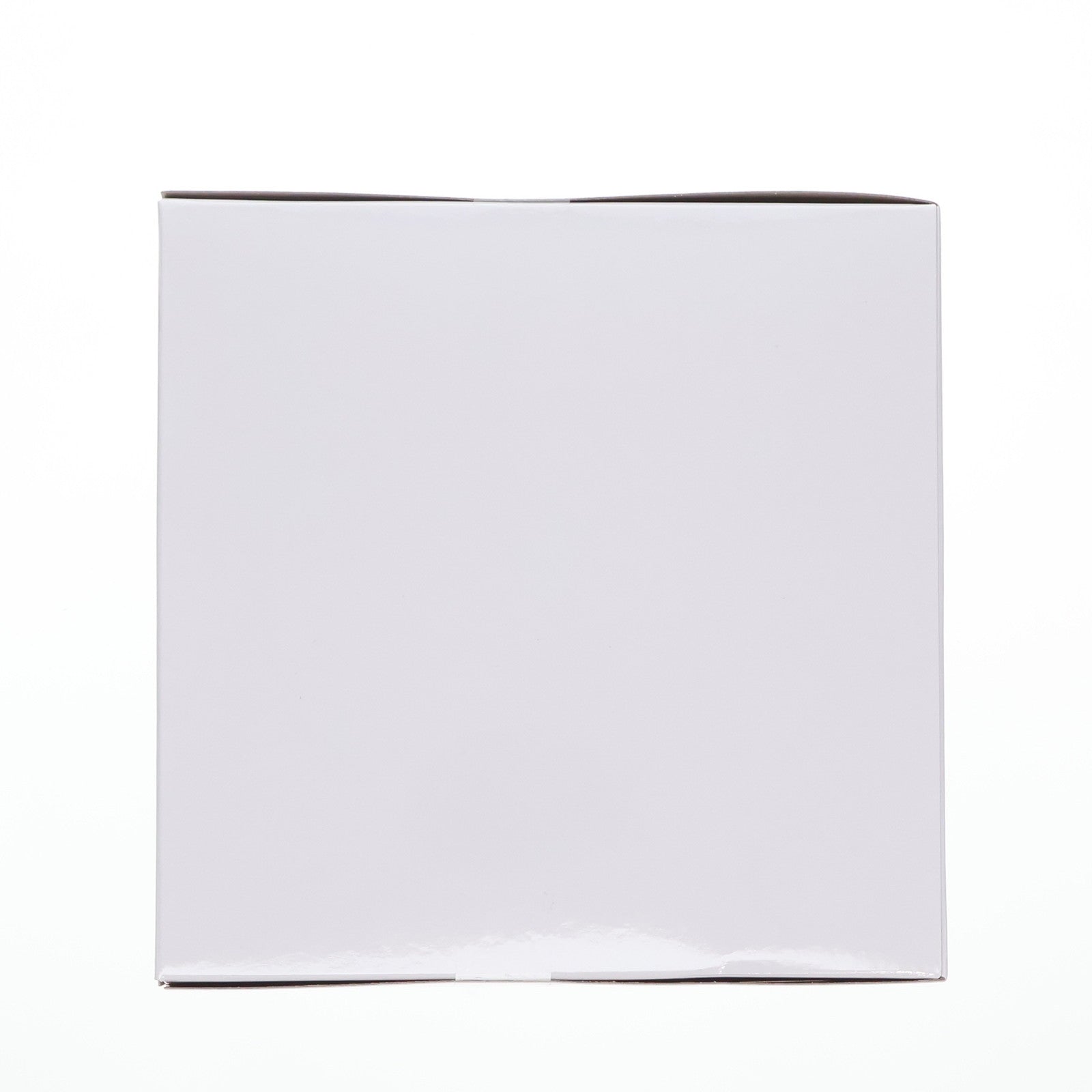 【中古即納】[FIG] タイトーオンラインクレーン限定 フェルン 葬送のフリーレン Desktop Cute フィギュア プライズ タイトー(20250430)