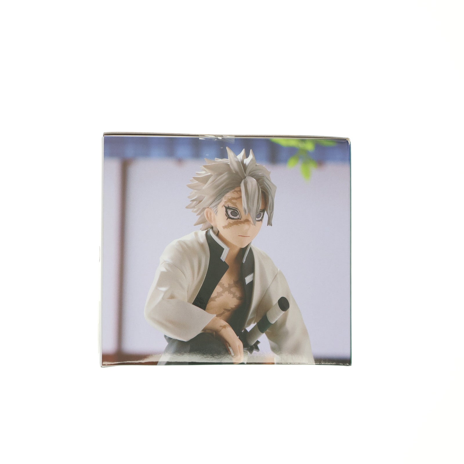 【中古即納】[FIG] 不死川実弥(しなずがわさねみ) 鬼滅の刃 プレミアムちょこのせフィギュア『不死川実弥』-柱合会議- プライズ(1064019) セガ(20221031)