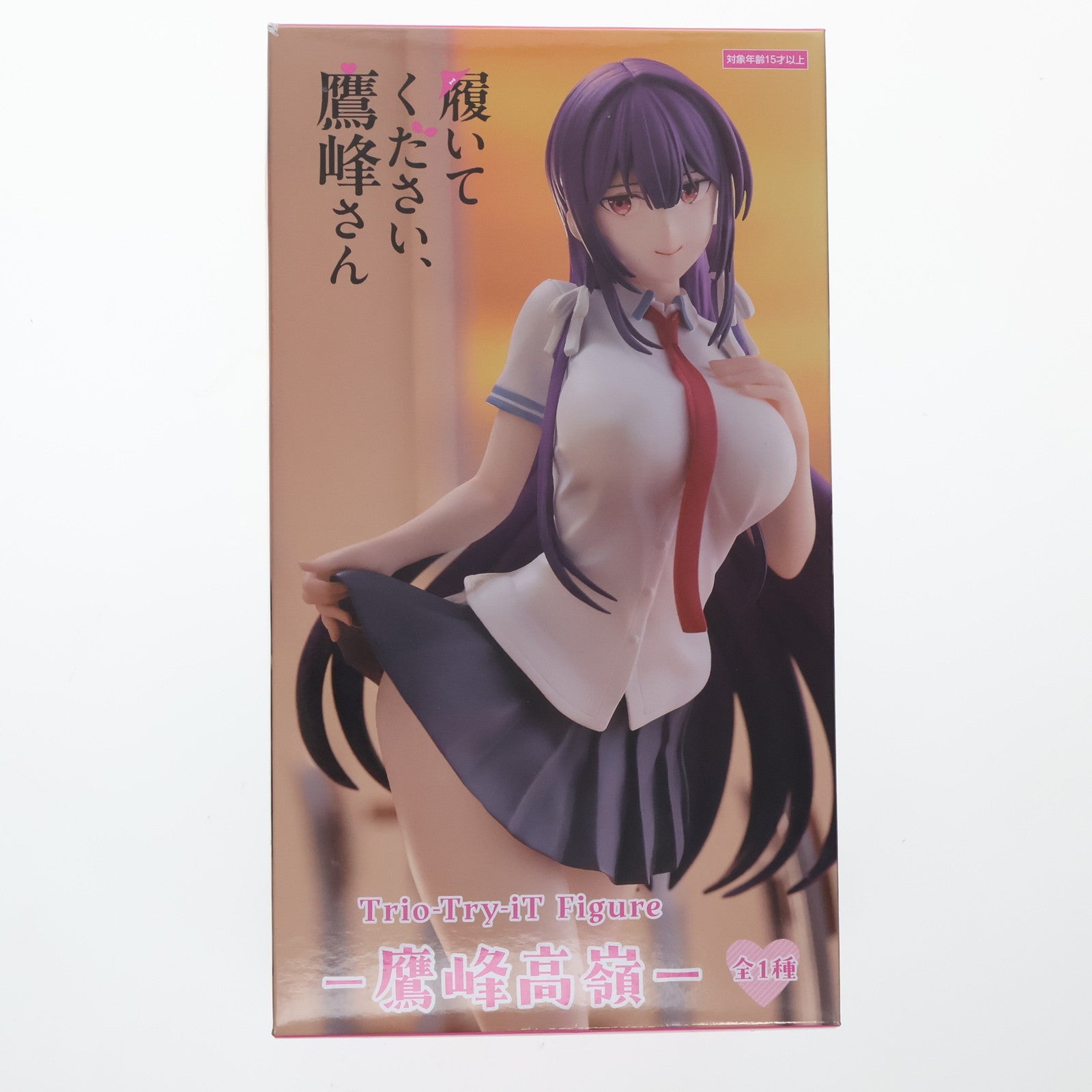 【中古即納】[FIG] 鷹峰高嶺(たかみねたかね) 履いてください、鷹峰さん Trio-Try-iT Figure-鷹峰高嶺- フィギュア プライズ(AMU-PRZ19146) フリュー(20250824)