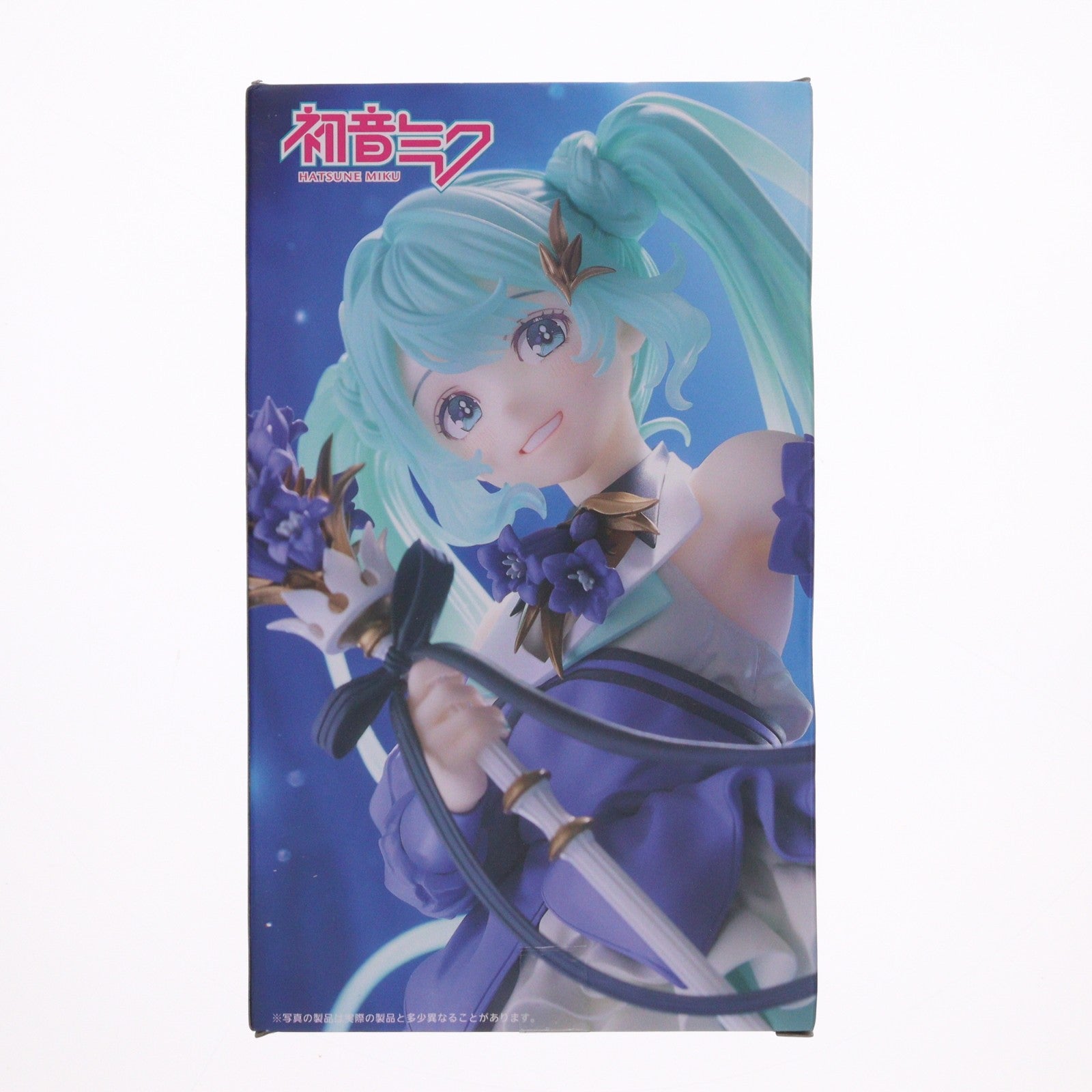 【中古即納】[FIG] 初音ミク Birthday2024 AMP+ フィギュア～Flower ver.～ キャラクター・ボーカル・シリーズ01 初音ミク プライズ(451779800) タイトー(20241031)