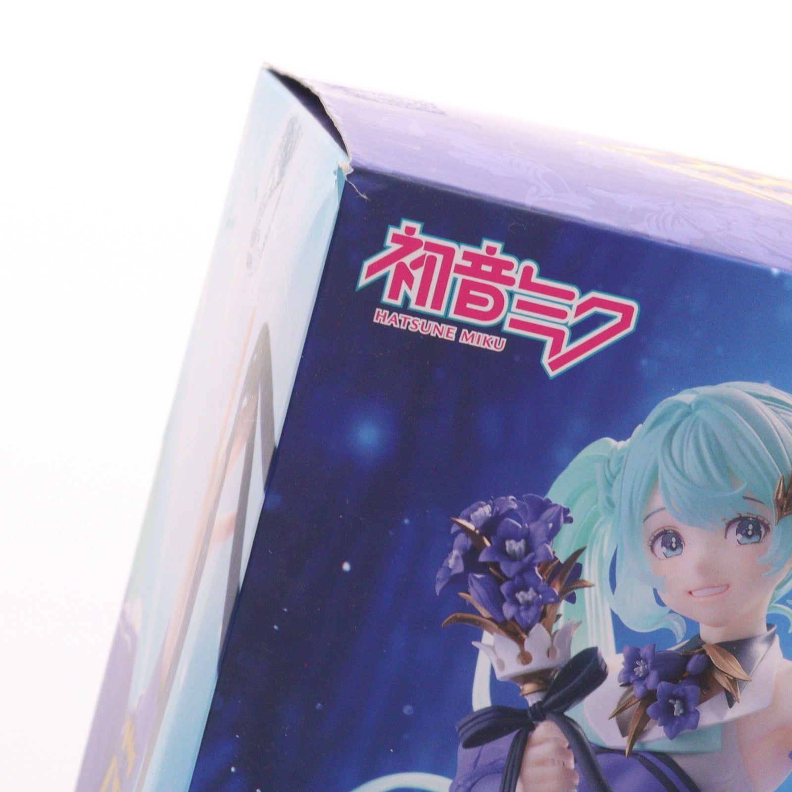 【中古即納】[FIG] 初音ミク Birthday2024 AMP+ フィギュア～Flower ver.～ キャラクター・ボーカル・シリーズ01 初音ミク プライズ(451779800) タイトー(20241031)