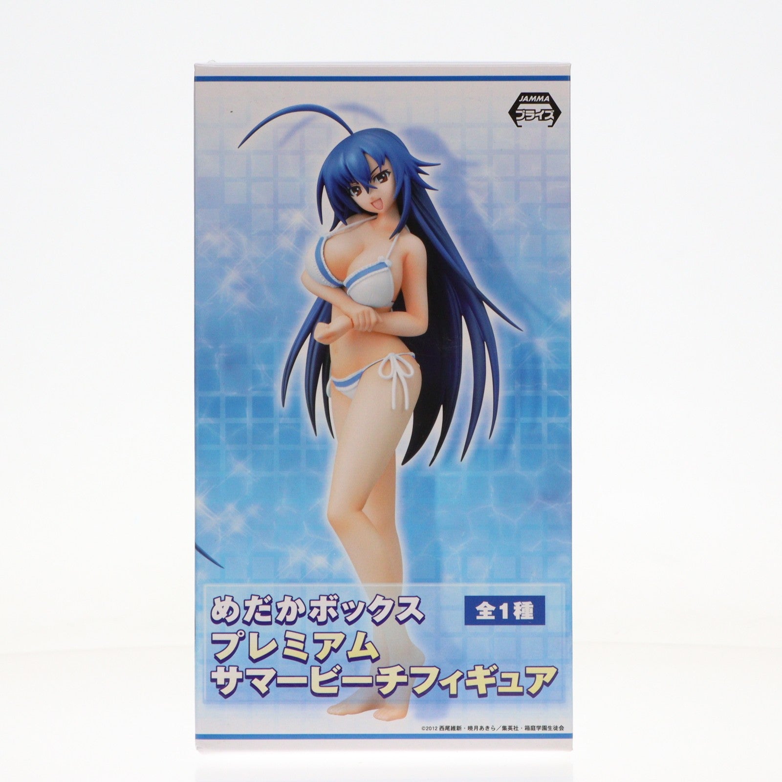 【中古即納】[FIG] 黒神めだか(くろかみめだか) めだかボックス プレミアムサマービーチフィギュア プライズ(25417) セガ(20130810)