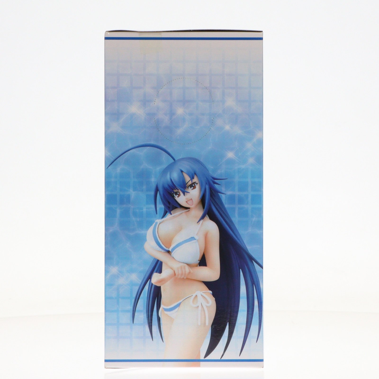 【中古即納】[FIG] 黒神めだか(くろかみめだか) めだかボックス プレミアムサマービーチフィギュア プライズ(25417) セガ(20130810)