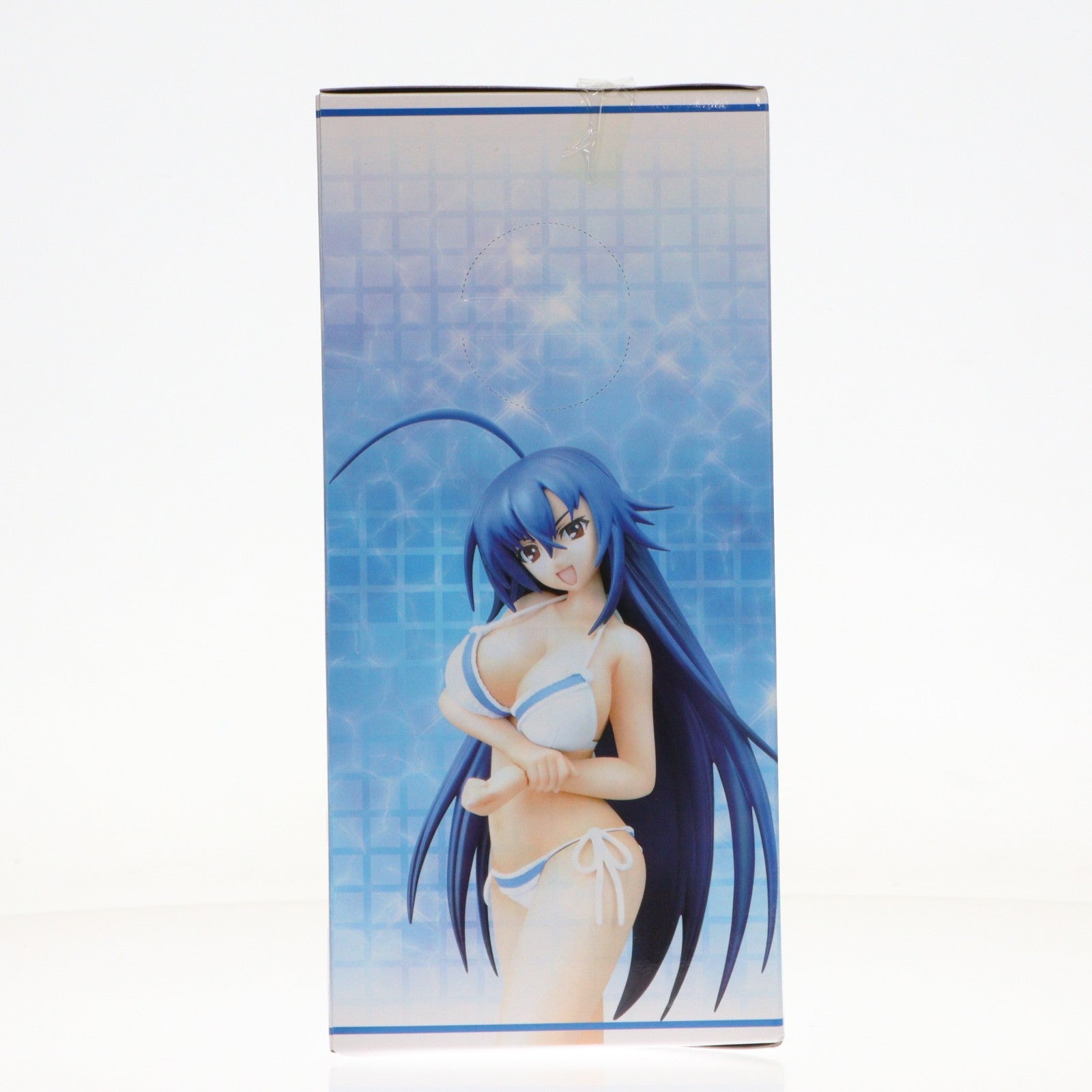 【中古即納】[FIG] 黒神めだか(くろかみめだか) めだかボックス プレミアムサマービーチフィギュア プライズ(25417) セガ(20130810)