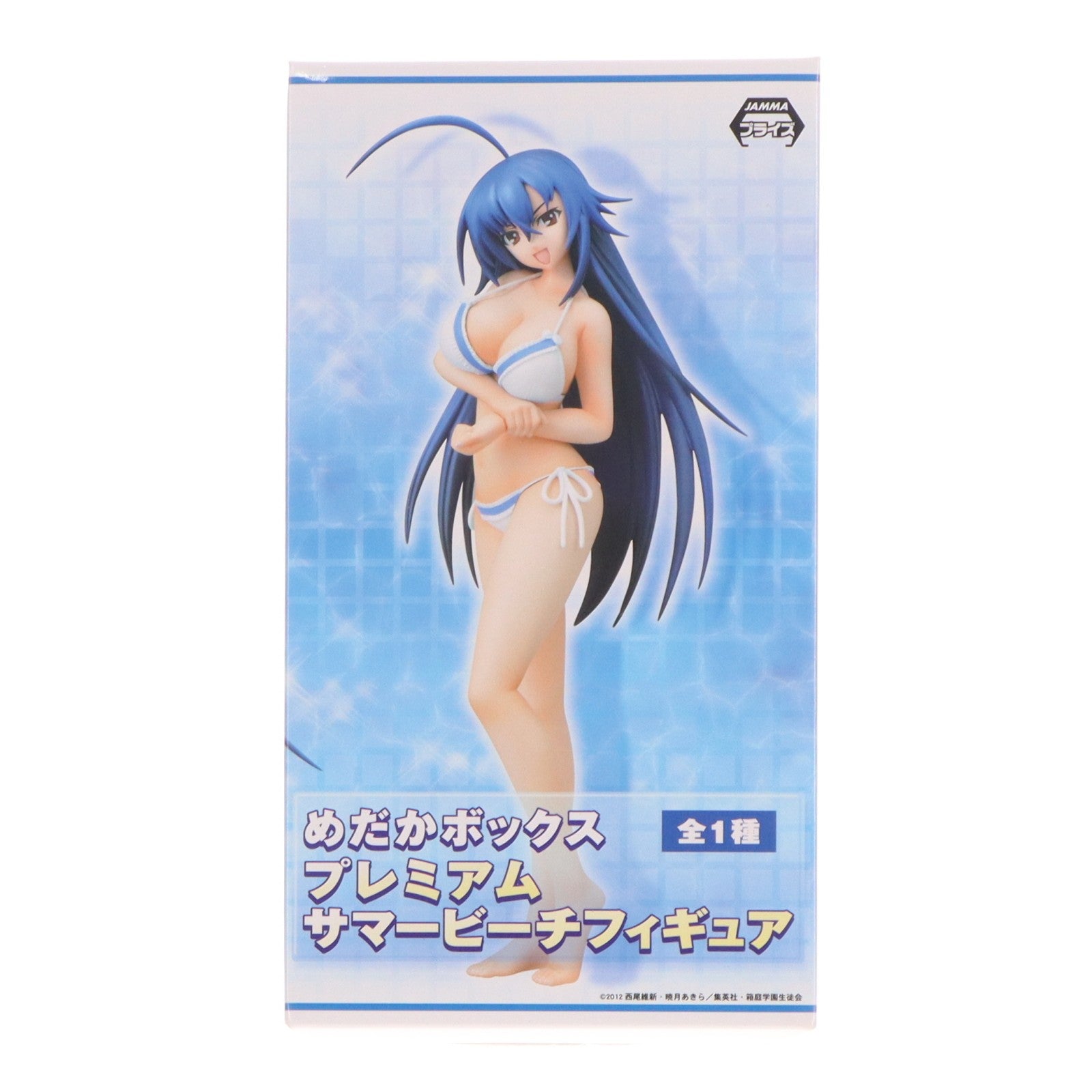 【中古即納】[FIG] 黒神めだか(くろかみめだか) めだかボックス プレミアムサマービーチフィギュア プライズ(25417) セガ(20130810)