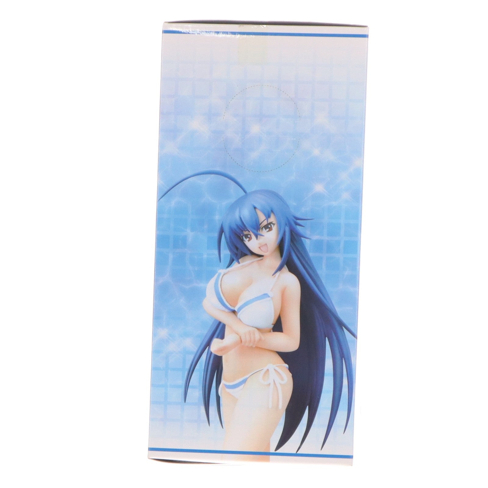 【中古即納】[FIG] 黒神めだか(くろかみめだか) めだかボックス プレミアムサマービーチフィギュア プライズ(25417) セガ(20130810)