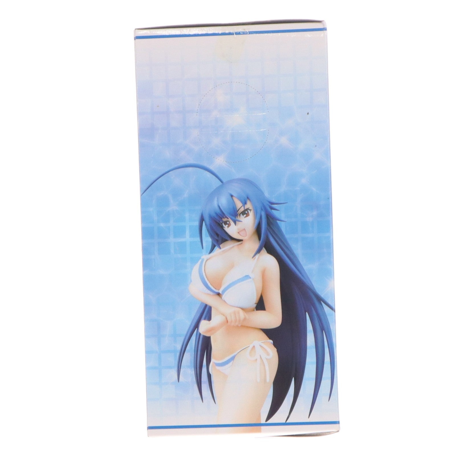 【中古即納】[FIG] 黒神めだか(くろかみめだか) めだかボックス プレミアムサマービーチフィギュア プライズ(25417) セガ(20130810)