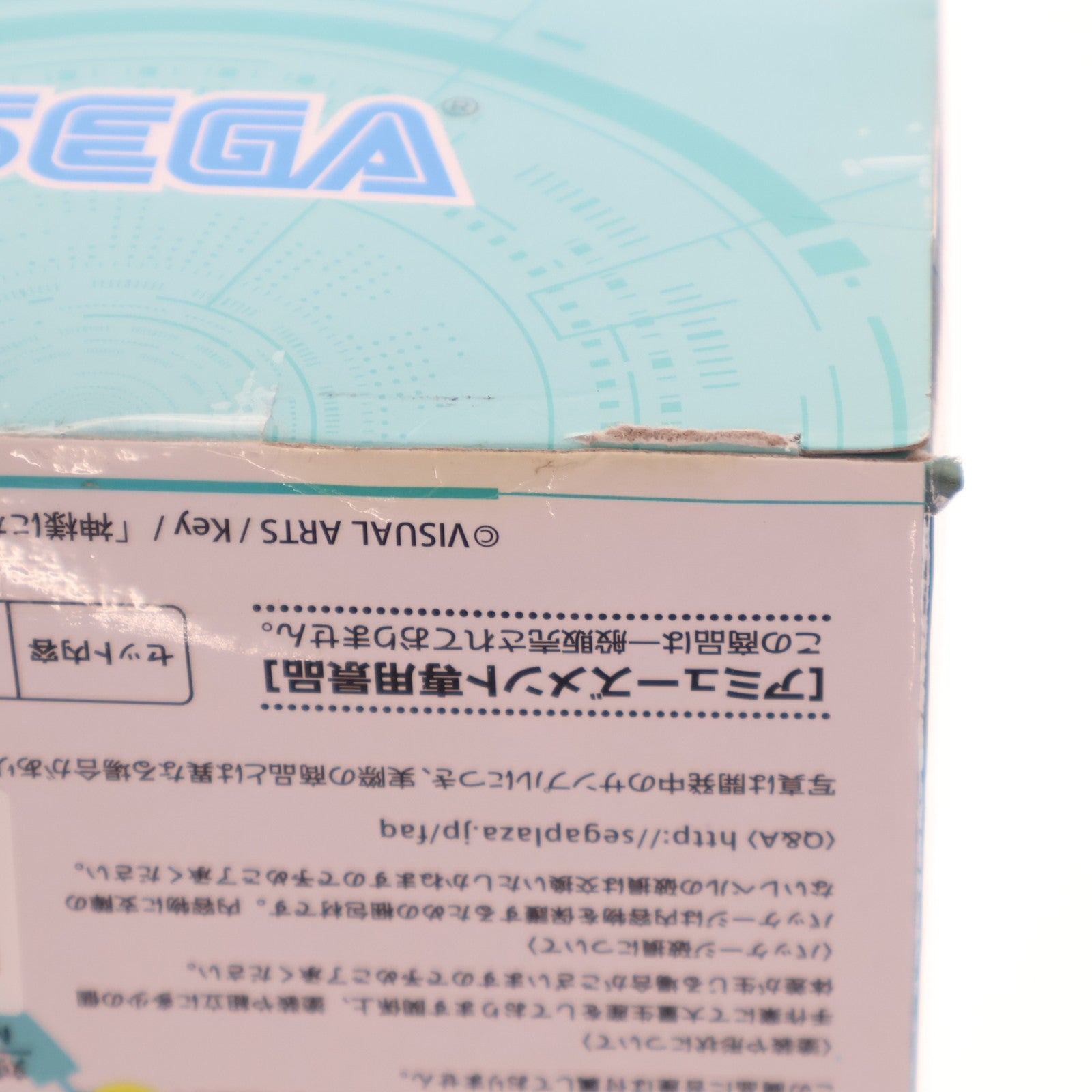 【中古即納】[FIG] 佐藤ひな(さとうひな) 神様になった日 プレミアムちょこのせフィギュア プライズ(1056599) セガ(20211130)