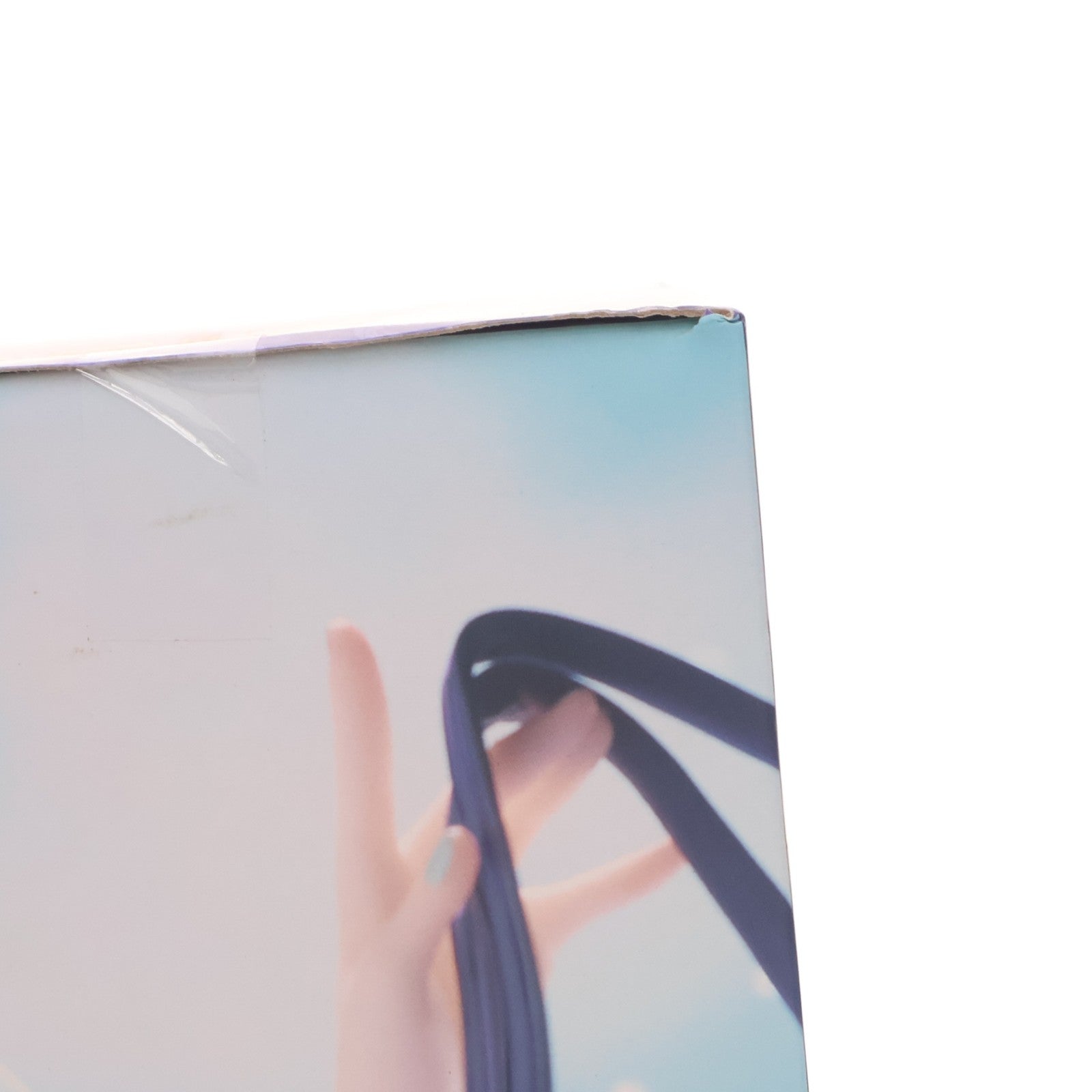 【中古即納】[FIG] 初音ミク Birthday2024 AMP+ フィギュア～Flower ver.～ キャラクター・ボーカル・シリーズ01 初音ミク プライズ(451779800) タイトー(20241031)
