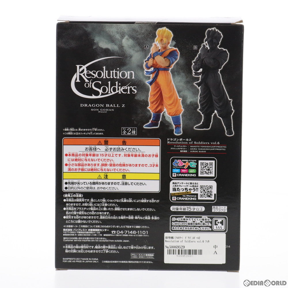 【中古即納】[FIG] 孫悟飯(フルカラー) ドラゴンボールZ Resolution of Soldiers vol.6 DRAGON BALL フィギュア プライズ(37372) バンプレスト(20170518)