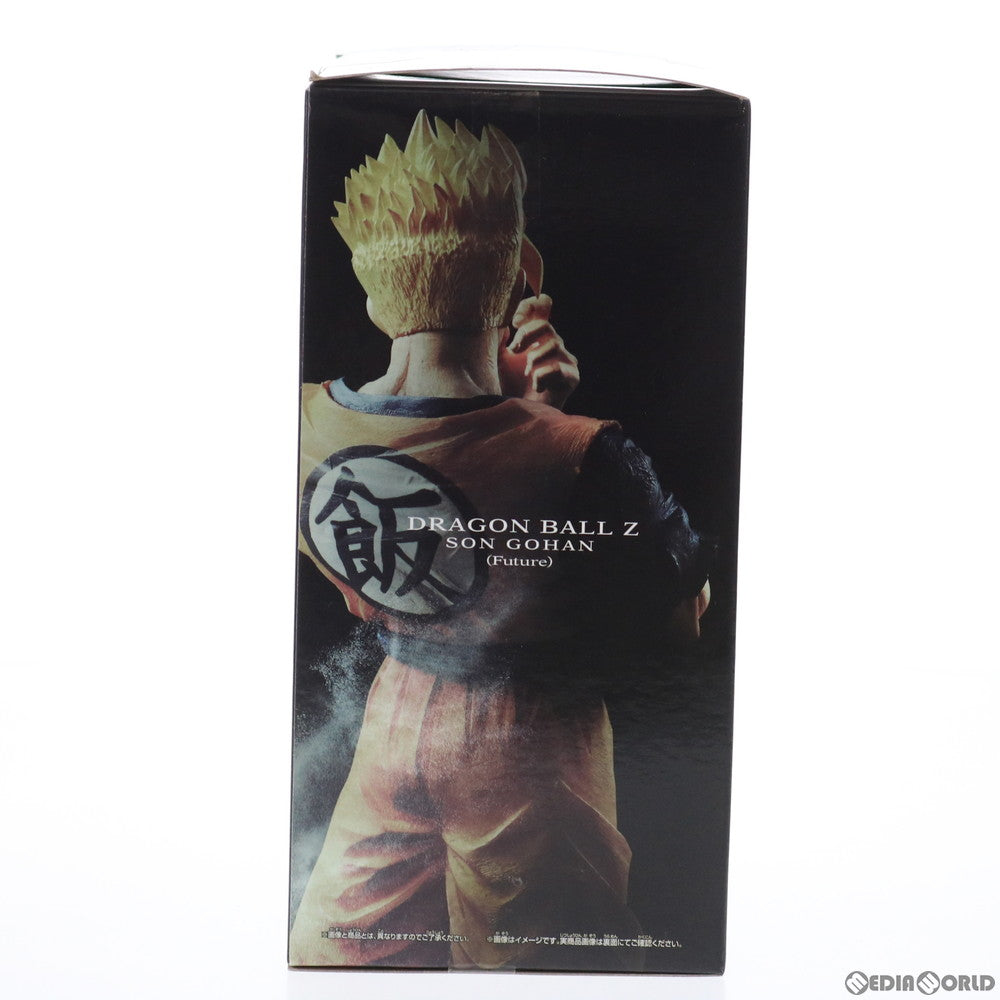【中古即納】[FIG] 孫悟飯(フルカラー) ドラゴンボールZ Resolution of Soldiers vol.6 DRAGON BALL フィギュア プライズ(37372) バンプレスト(20170518)