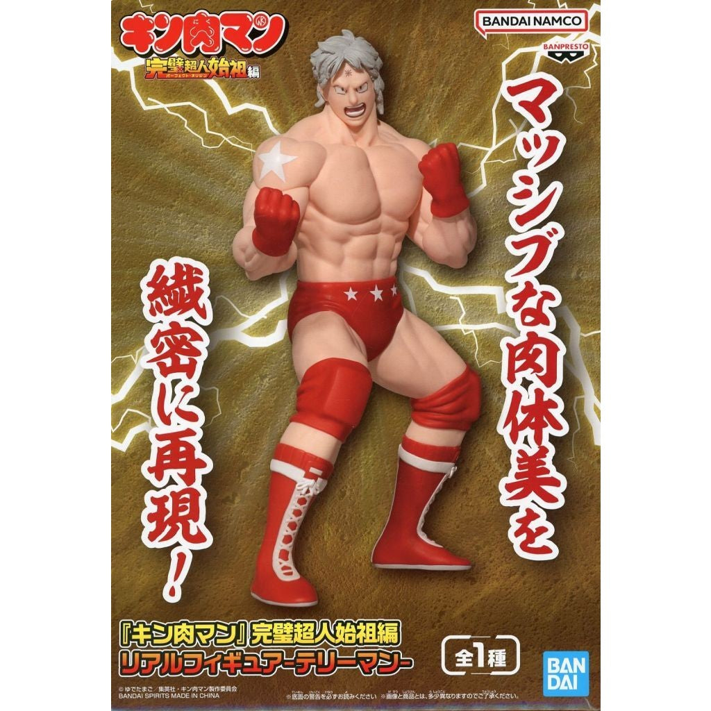 【中古即納】[FIG] テリーマン 『キン肉マン』 完璧超人始祖編 リアルフィギュア-テリーマン- プライズ(2869625) バンプレスト(20260806)