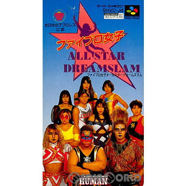 【中古即納】[SFC]ファイプロ女子 オールスター ドリームスラム(ALL STAR DREAMSLAM)(19940722)