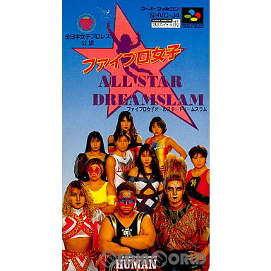 【中古即納】[お得品][箱説明書なし][SFC]ファイプロ女子 オールスター ドリームスラム(ALL STAR DREAMSLAM) ヒューマン (19940722)