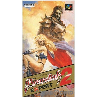 【中古即納】[SFC]ブランディッシュ2 エキスパート(Brandish 2 EXPERT) コーエー (19960315)