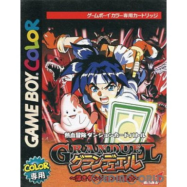 【中古即納】[お得品][箱説明書なし][GBC]グランデュエル ～深きダンジョンの秘宝～ ボトムアップ (19991210)