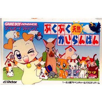 【中古即納】[GBA]ぷくぷく天然かいらんばん ビクターインタラクティブ (20020426)