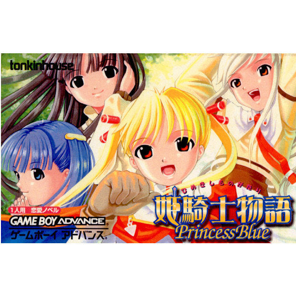 【中古即納】[GBA]姫騎士物語 PrincessBlue(プリンセスブルー) トンキンハウス (20020829)