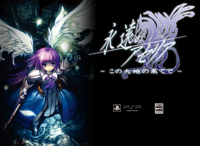 【中古即納】[PSP]永遠のアセリア -この大地の果てで- 限定版 サイバーフロント (20120308)