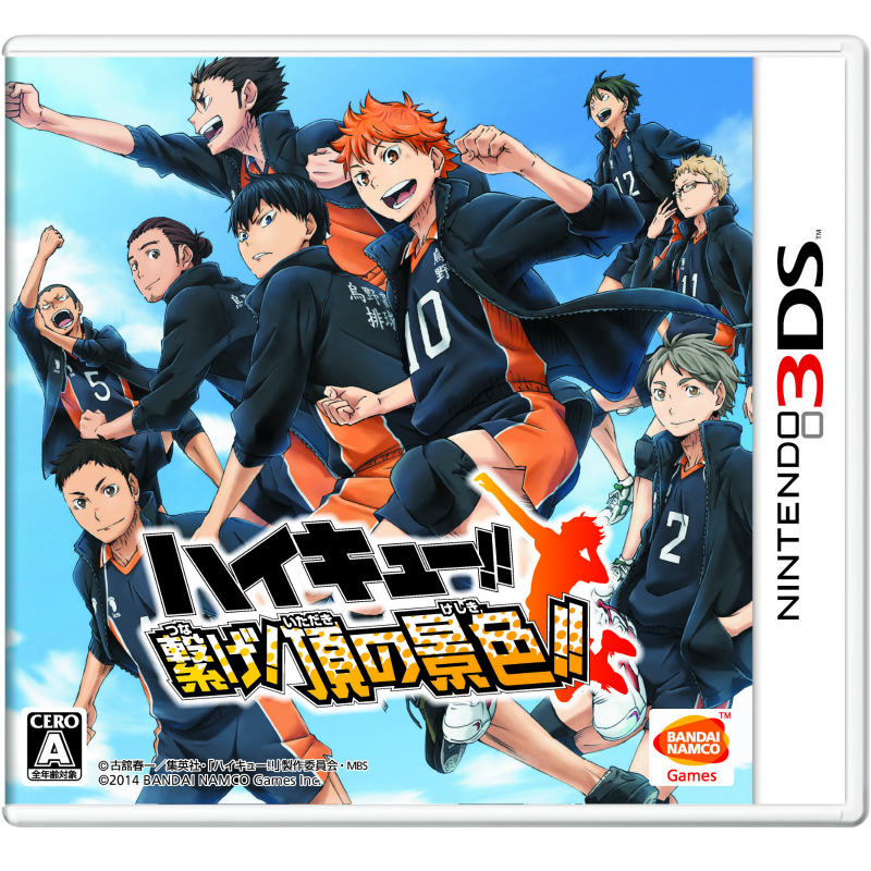 【中古即納】[3DS]ハイキュー!! 繋げ!頂の景色!! 通常版 バンダイナムコゲームス (20140925)