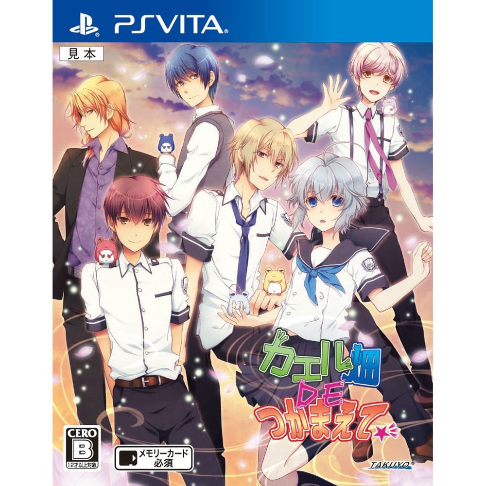 【新品即納】[PSVita]カエル畑DEつかまえて☆彡 拓洋興業／TAKUYO (20141218)