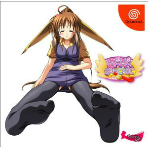 【中古即納】[DC]はっぴ～ぶり～でぃんぐ プリンセスソフト (20030227)