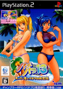 【中古即納】[PS2]パチパラ13 ～スーパー海とパチプロ風雲録～ アイレム (20061026)