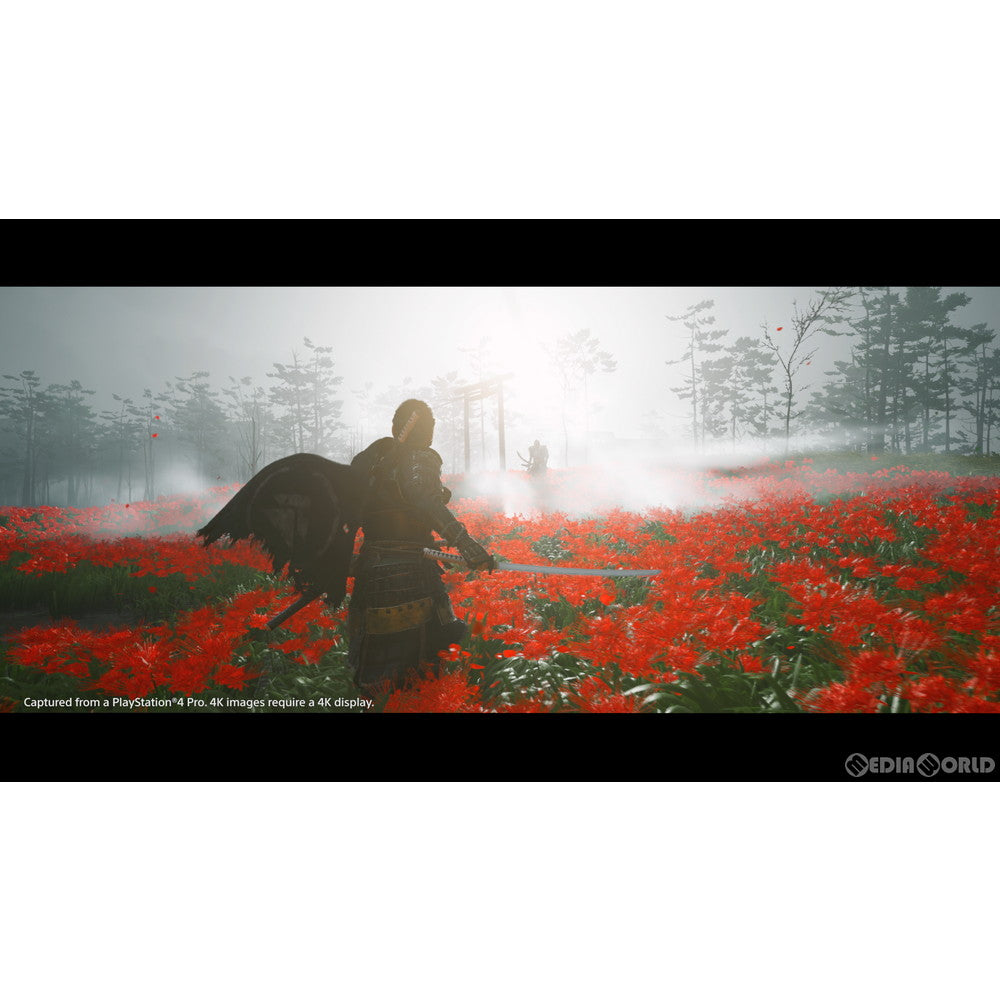 【中古即納】[お得品][表紙説明書なし][PS4]Ghost of Tsushima(ゴースト オブ ツシマ) ソニー・インタラクティブエンタテインメント (20200717)