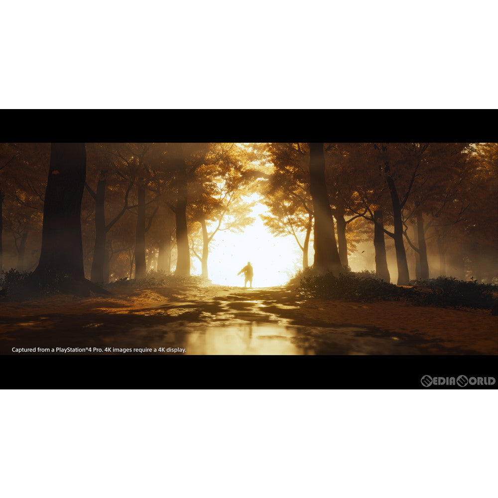 【中古即納】[お得品][表紙説明書なし][PS4]Ghost of Tsushima(ゴースト オブ ツシマ) ソニー・インタラクティブエンタテインメント (20200717)