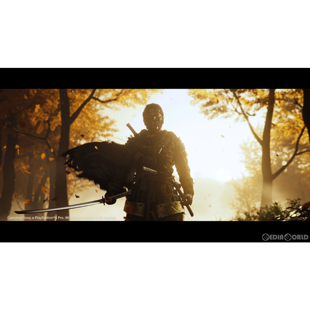 【中古即納】[お得品][表紙説明書なし][PS4]Ghost of Tsushima(ゴースト オブ ツシマ) ソニー・インタラクティブエンタテインメント (20200717)