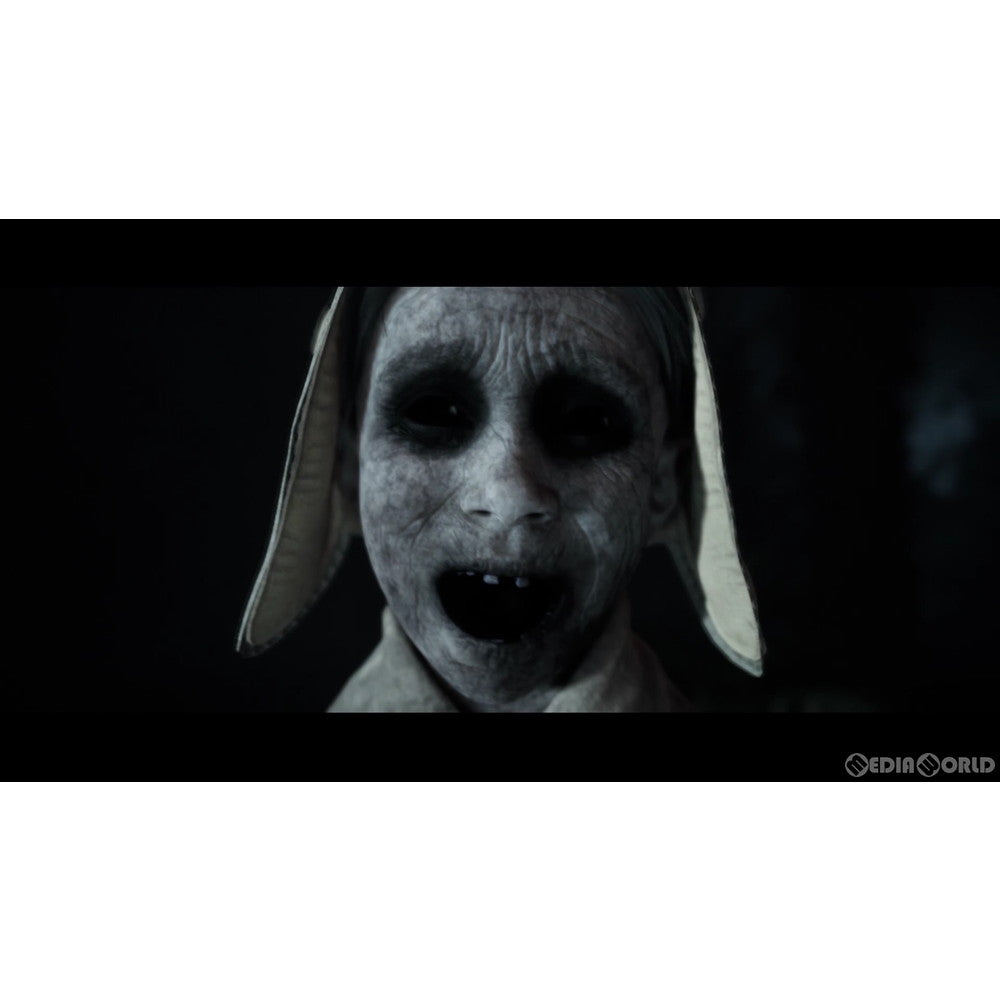 【中古即納】[お得品][表紙説明書なし][PS4]THE DARK PICTURES LITTLE HOPE(ダーク ピクチャーズ リトル ホープ) バンダイナムコエンターテインメント (20201203)