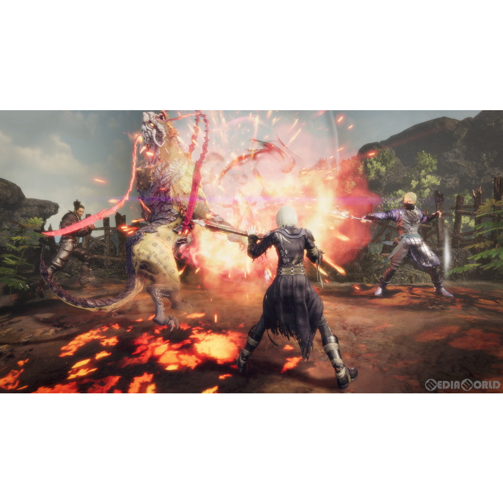 【中古即納】[お得品][表紙説明書なし][PS4]STRANGER OF PARADISE FINAL FANTASY ORIGIN(ストレンジャー オブ パラダイス ファイナルファンタジー オリジン) スクウェア・エニックス (20220318)