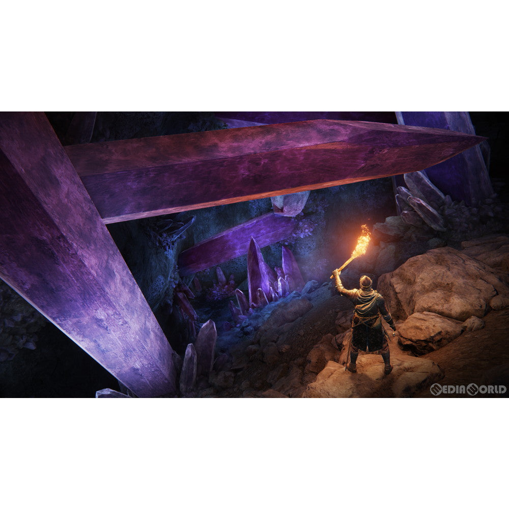 【中古即納】[PS4]ELDEN RING(エルデンリング) 通常版 フロム・ソフトウェア (20220225)