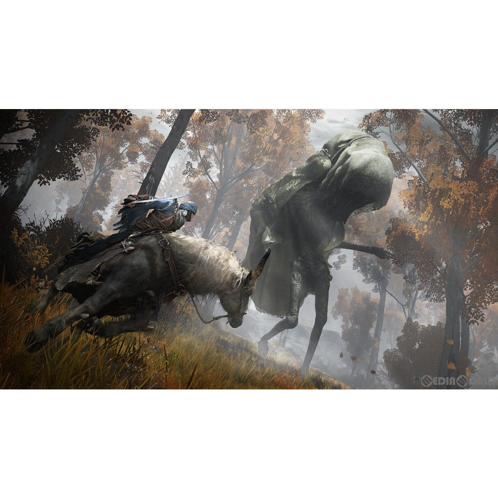 【新品即納】[PS4]ELDEN RING(エルデンリング) コレクターズエディション(限定版) フロム・ソフトウェア (20220225)