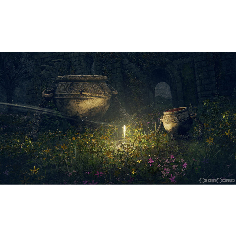 【新品即納】[PS4]ELDEN RING(エルデンリング) コレクターズエディション(限定版) フロム・ソフトウェア (20220225)