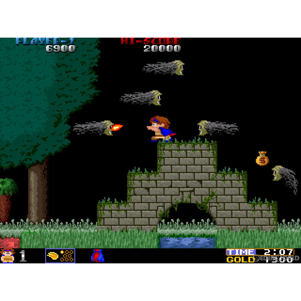 【新品即納】[PS4]飛翔鮫!鮫!鮫! -TOAPLAN ARCADE GARAGE-(トウアプラン アーケード ガレージ) エムツー (20220428)