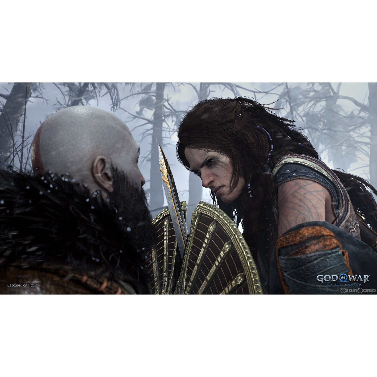 【中古即納】[PS4]ゴッド・オブ・ウォー ラグナロク(God of War Ragnarok) ソニー・インタラクティブエンタテインメント (20221109)