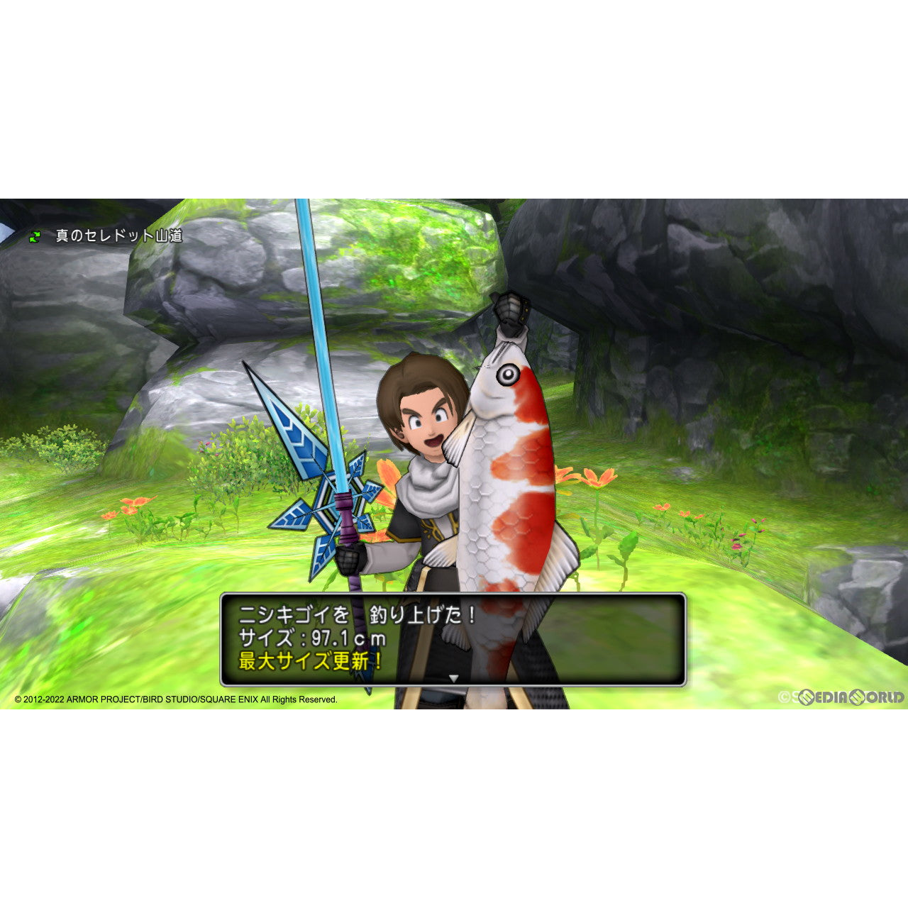 【新品即納】[PS4]ドラゴンクエストX オンライン オールインワンパッケージ version 1-6(オンライン専用) スクウェア・エニックス (20221020)