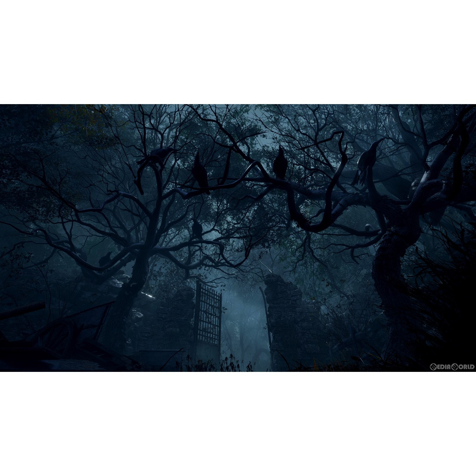 【新品即納】[PS4](初)BIOHAZARD RE:4(バイオハザード アールイー4) 通常版 カプコン (20230324)