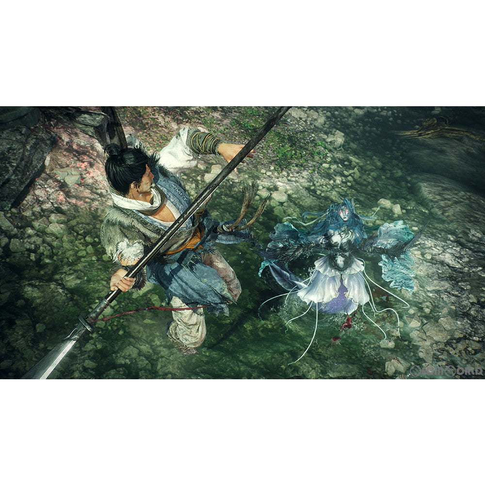 【中古即納】[PS4]Wo Long: Fallen Dynasty(ウォーロン フォールン ダイナスティ) 通常版 コーエーテクモゲームス (20230303)