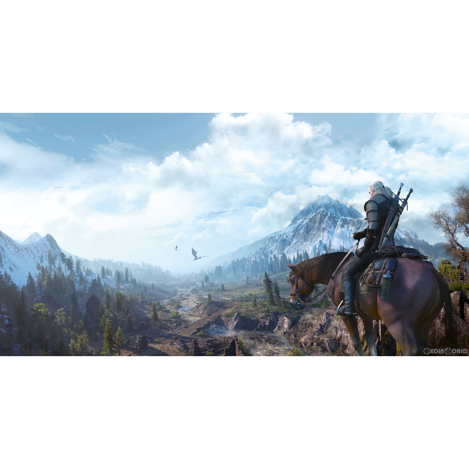 【中古即納】[PS4]ウィッチャー3 ワイルドハント ゲームオブザイヤーエディション(The Witcher 3: Wild Hunt Game Of The Year Edition) 新価格版(PLJS-36190) スパイク・チュンソフト (20230209)