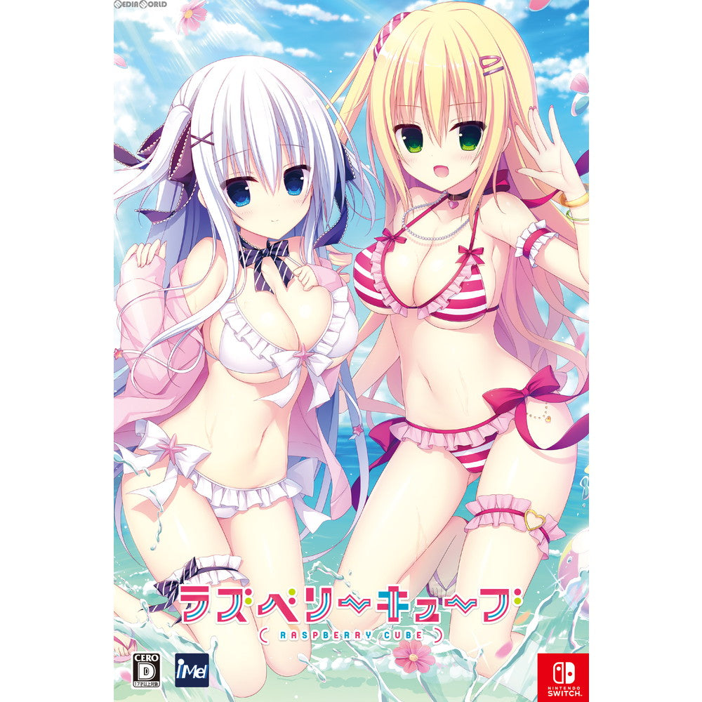 【中古即納】[Switch]ラズベリーキューブ(RASPBERRY CUBE) 初回限定特装版 iMel (20190829)