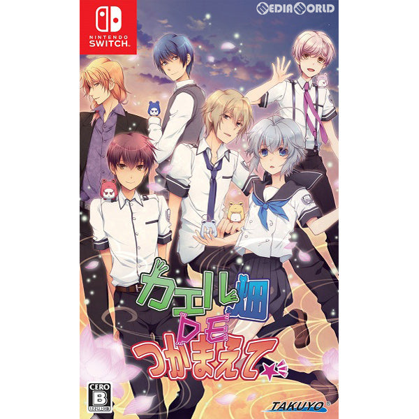 【中古即納】[Switch]カエル畑DEつかまえて☆彡 拓洋興業／TAKUYO (20190711)